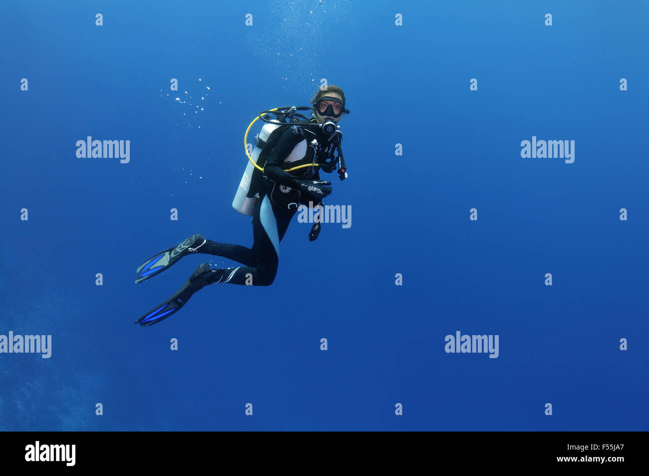 Young woman diver swimming in the water column, the Indian Ocean, Maldives Stock Photo