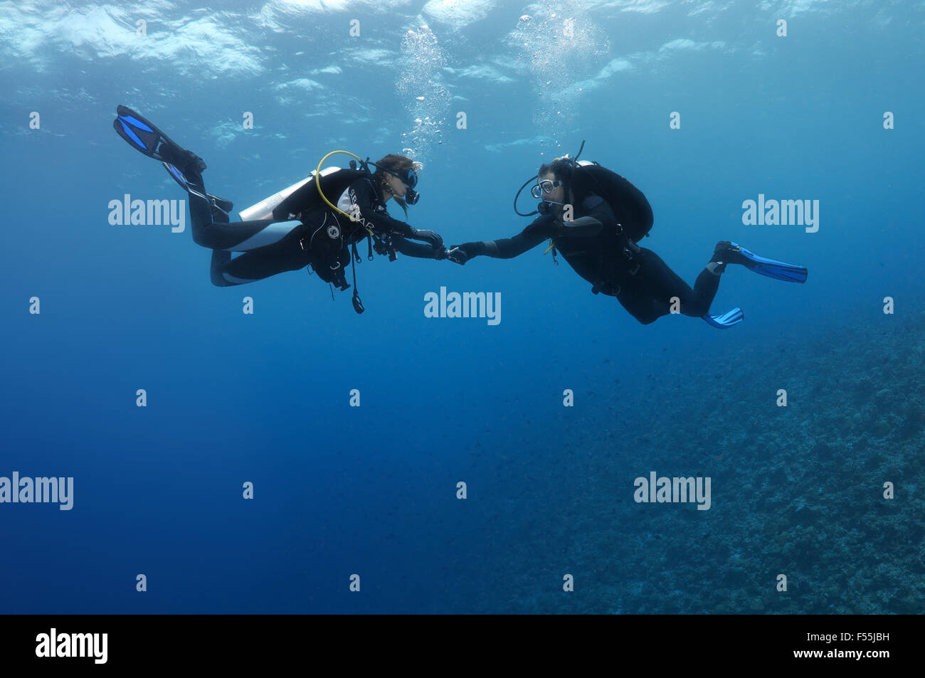 Young couple hanging divers in the water, stare at each other holding hands, Indian Ocean, Maldives Stock Photo