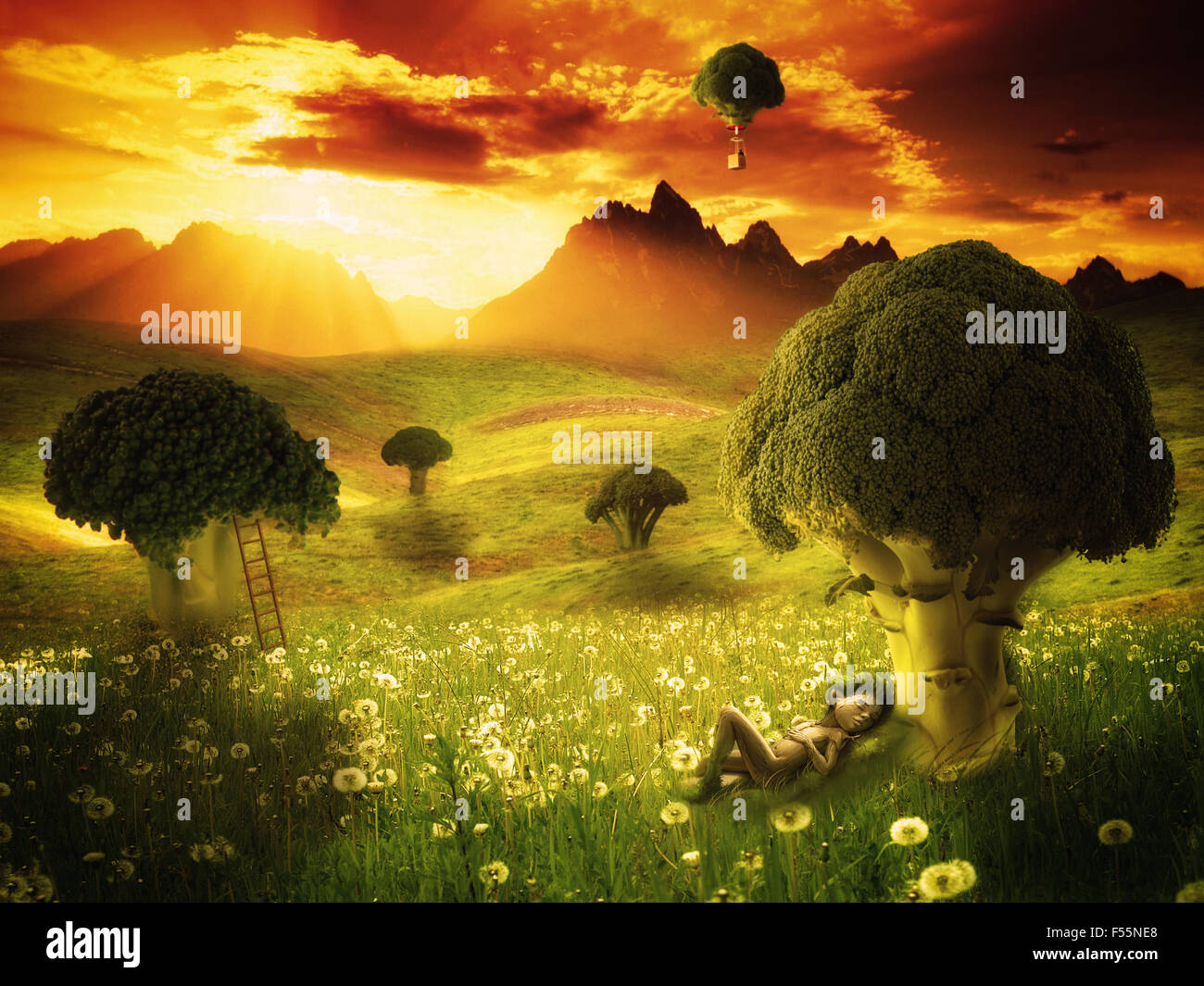 Fantasy broccoli land with elf sleeping Stock Photo Alamy