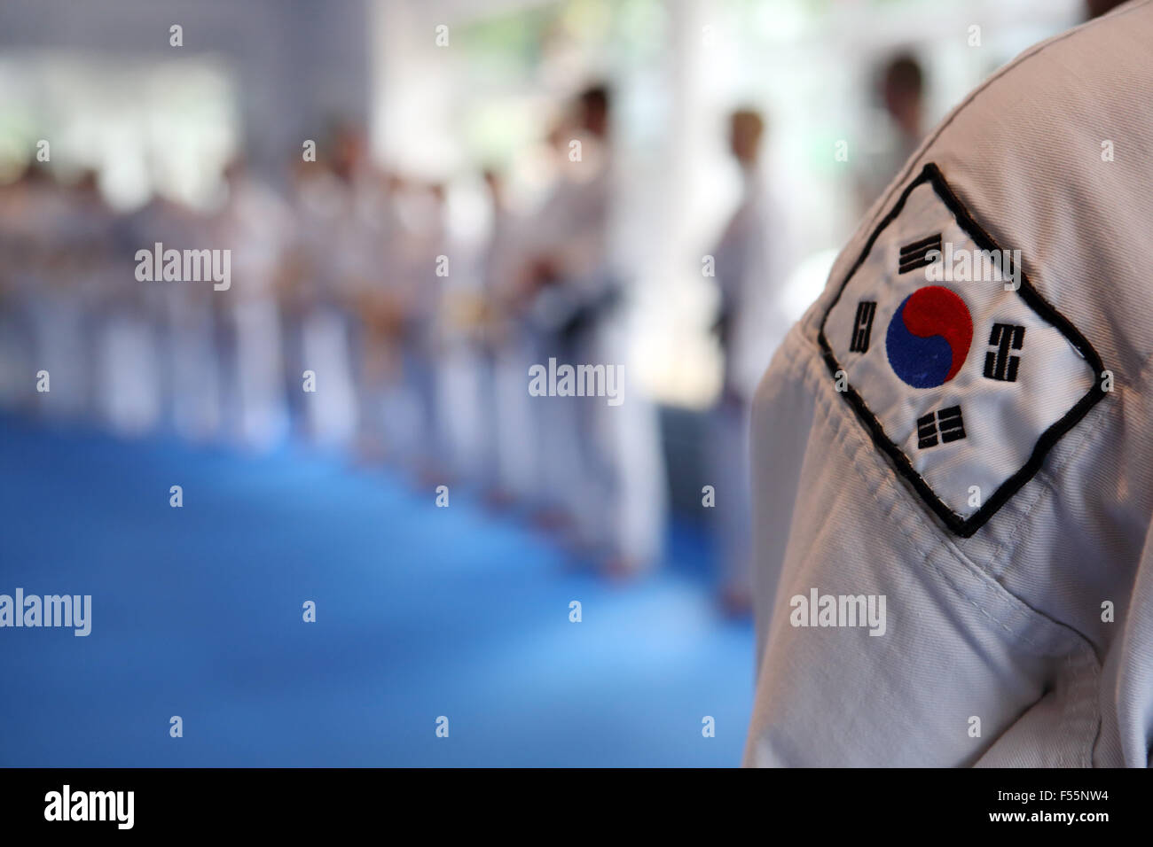 15.06.2013, Berlin, Berlin, Germany - National flag of South Korea on the sleeve of a taekwondo suit. 00S130615D107CAROEX.JPG - NOT for SALE in G E R M A N Y, A U S T R I A, S W I T Z E R L A N D [MODEL RELEASE: NOT APPLICABLE,, PROPERTY RELEASE: NO (c) caro photo agency / Sorge, http://www.caro-images.pl, info@carofoto.pl - In case of using the picture for non-journalistic purposes, please contact the agency - the picture is subject to royalty!] Stock Photo