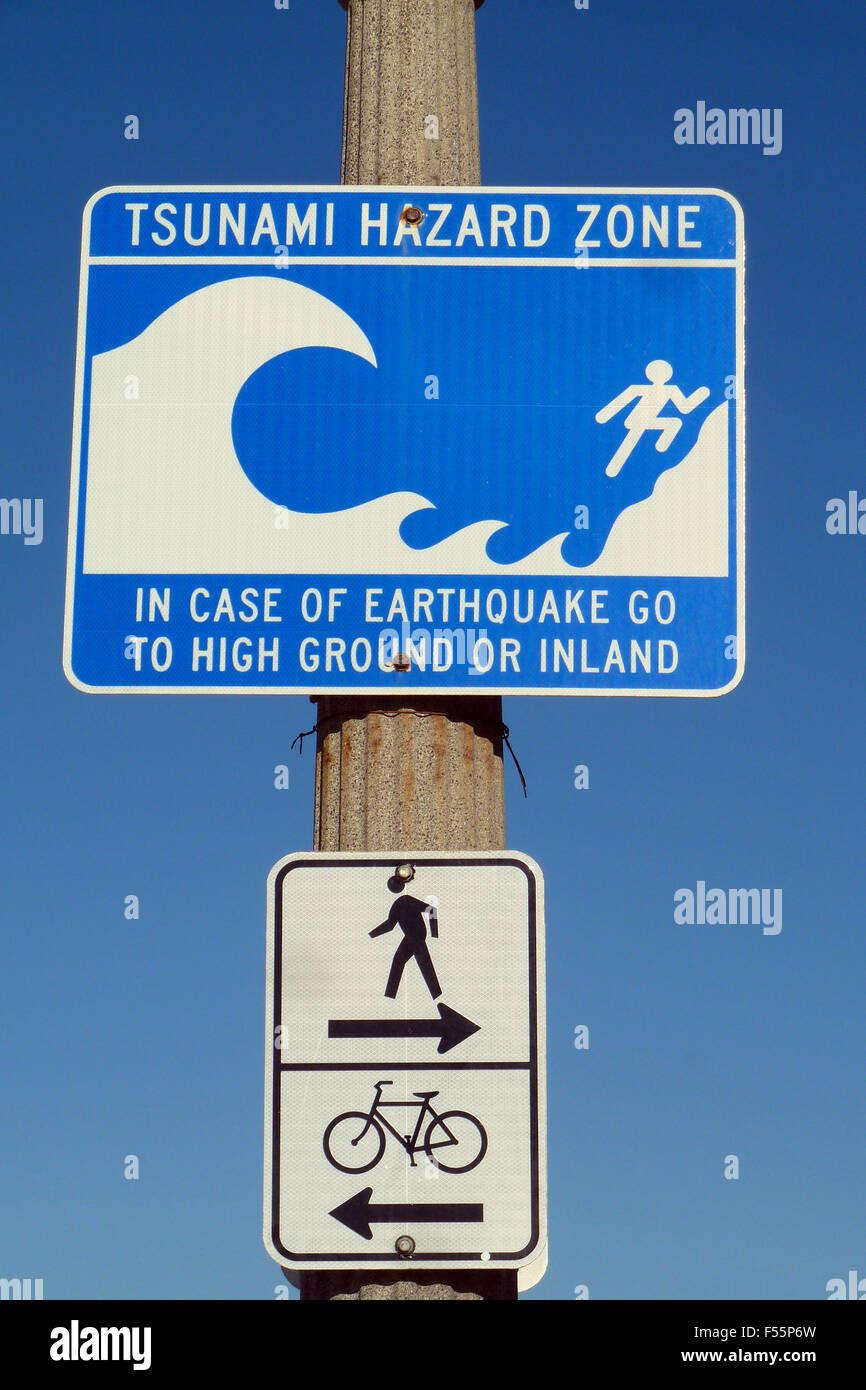 Was there a tsunami in santa monica