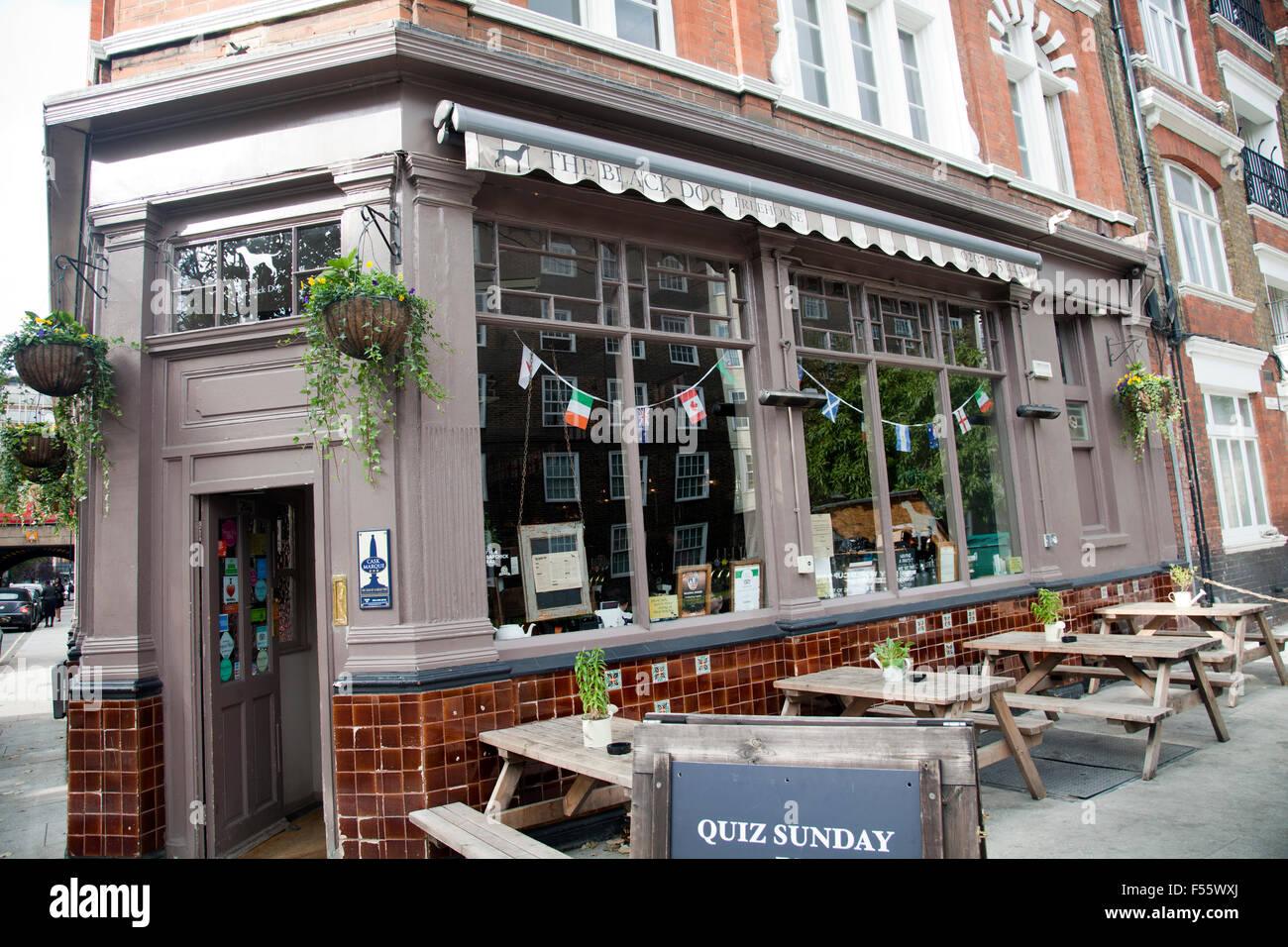 Black Dog Freehouse on Vauxhall Walk in London UK Stock Photo Alamy
