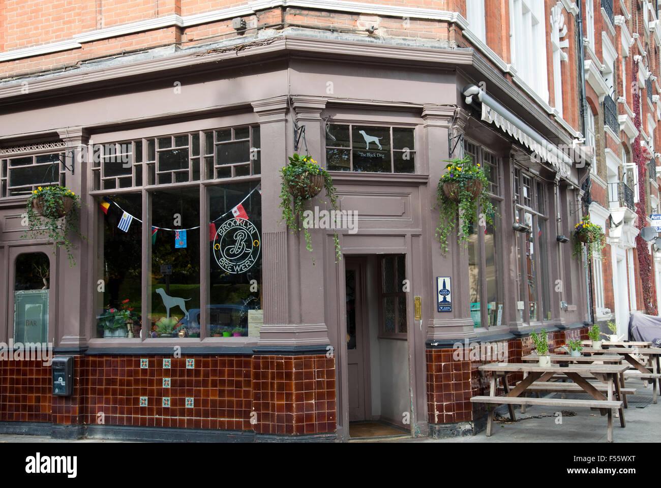 Black Dog Freehouse on Vauxhall Walk in London UK Stock Photo Alamy