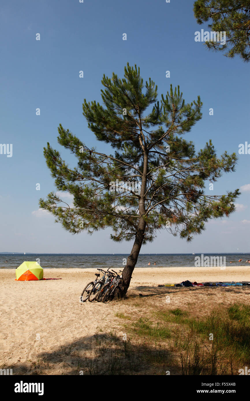 09.01.2015, Biscarrosse, Aquitaine, France - Beach at Etang de Biscarrosse et de Parentis. 0SH150109D045CAROEX.JPG - NOT for SALE in G E R M A N Y, A U S T R I A, S W I T Z E R L A N D [MODEL RELEASE: NO, PROPERTY RELEASE: NO (c) caro photo agency / Hoffmann, http://www.caro-images.pl, info@carofoto.pl - In case of using the picture for non-journalistic purposes, please contact the agency - the picture is subject to royalty!] Stock Photo