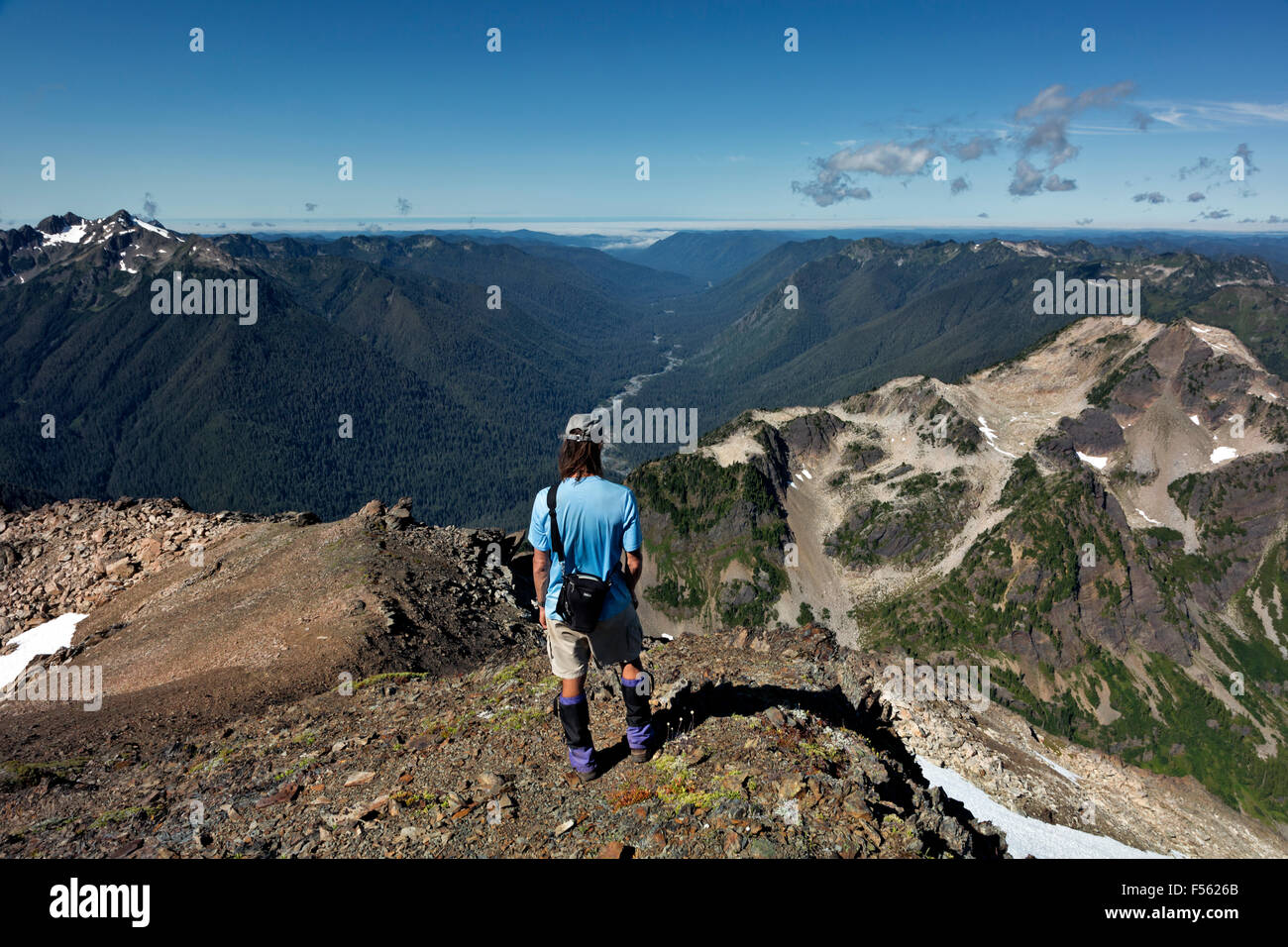 WASHINGTON - Hiker overlooking the Hoh River Valley and Cat Peak from the side of Mount Carrie in the Bailey Range. Stock Photo