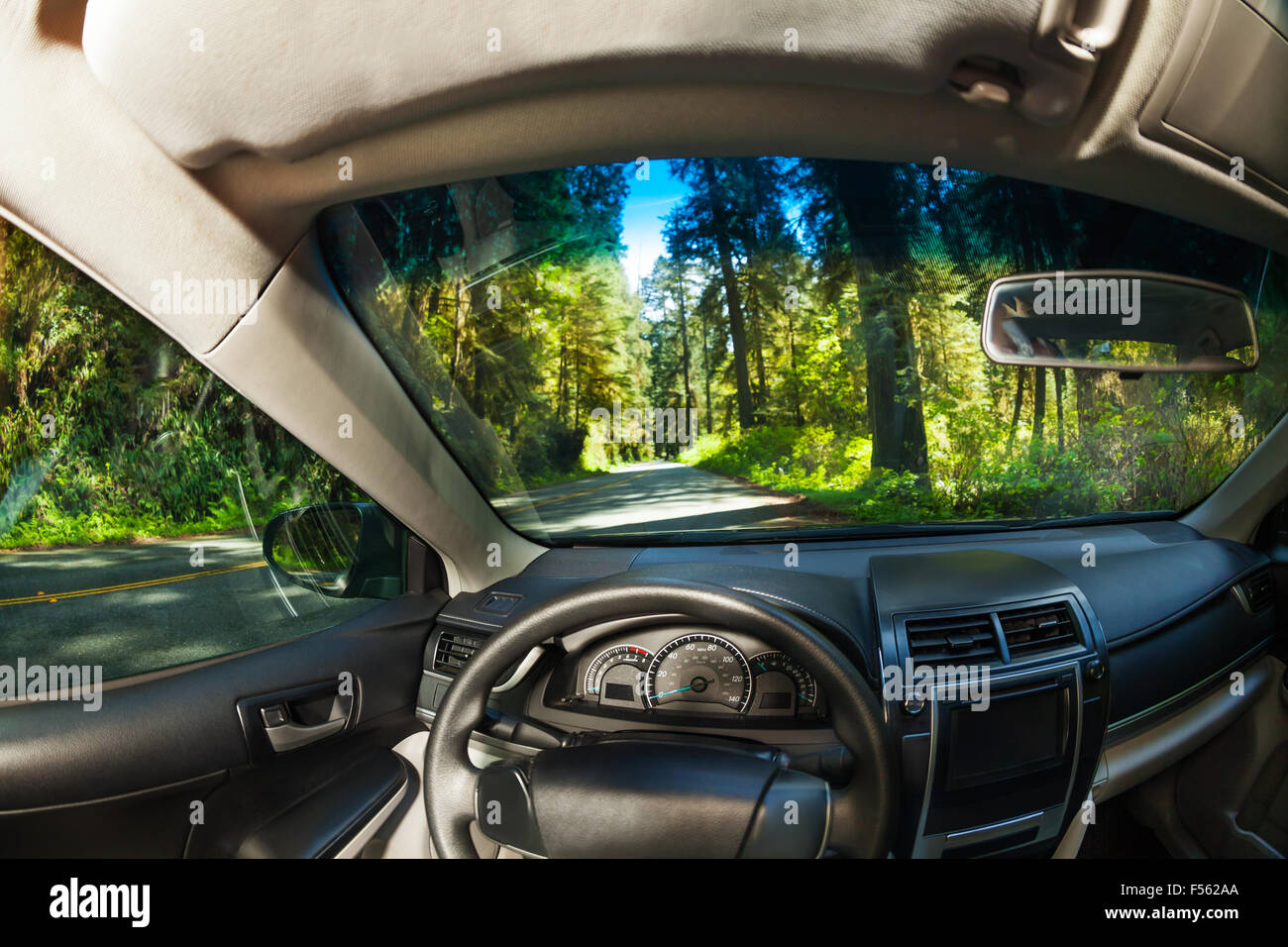 View inside the car with forest of Redwood outside Stock Photo