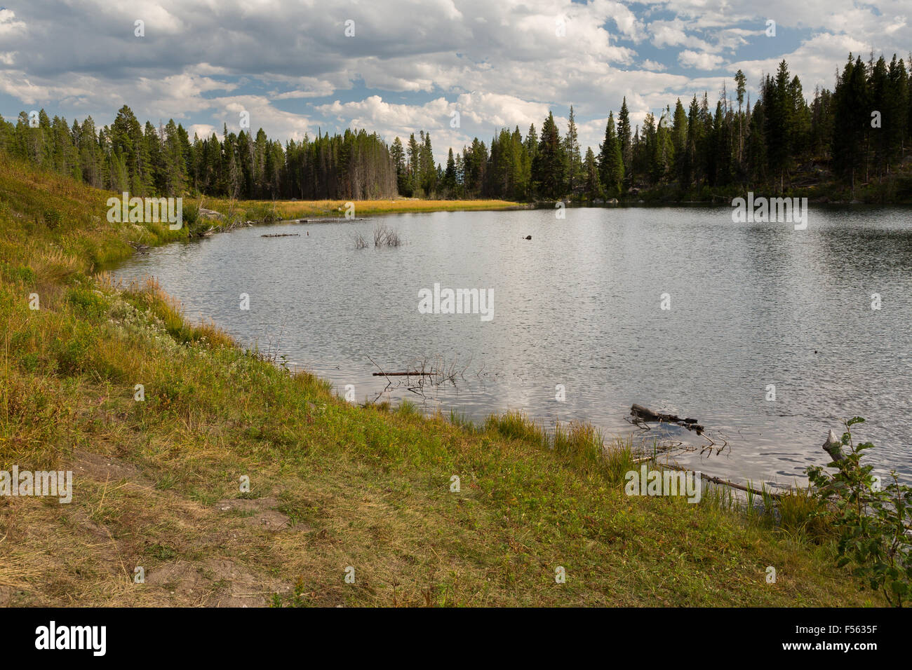 Trapper Lake, at the base of Mount Moran, looking east, Grand Teton