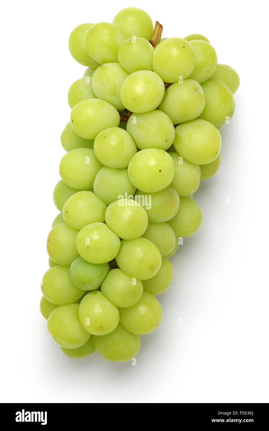 shine muscat, japanese new variety grape isolated on white background Stock Photo