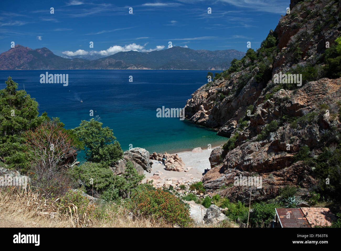 Corsica Ficajola Beach Stock Photo 89259862 Alamy