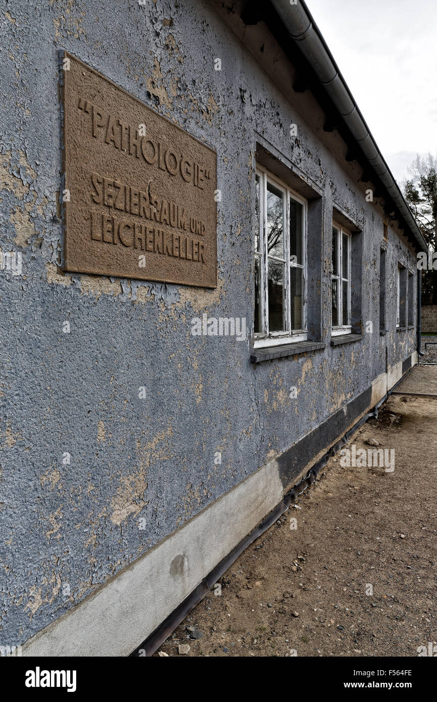 14.04.2015, Oranienburg, Brandenburg, Germany - Memorial on the site of the former Nazi concentration camp Sachsenhausen in Oranienburg near Berlin district of the same name. The picture shows a billboard on the building of the former Sezierbaracke with corpse cellar. EJH150414D248CAROEX.JPG - NOT for SALE in G E R M A N Y, A U S T R I A, S W I T Z E R L A N D [MODEL RELEASE: NOT APPLICABLE, PROPERTY RELEASE: NO (c) caro photo agency / Heinrich, http://www.caro-images.pl, info@carofoto.pl - In case of using the picture for non-journalistic purposes, please contact the agency - the picture is s Stock Photo