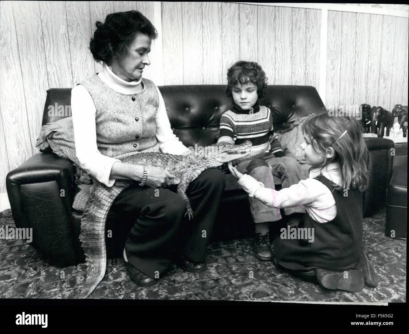 1968 - Alli' Is A Four Foot Softie!: Sidney the pet 'Alligator' is a growing 'Lad' at the age of four. Sidney has grown to the almighty size of four feet in length and is still growing, presenting Mrs. 'Carlie' (nick name) Gremo, who comes from Whitstable, in Kent, with quite a few Problems. Recently, a New 'An Act Passed means that all Dangerous Animals, kept as pets, must have a licence. Although not dangerous, Sidney can be sometimes a little playful and not realise his won strength, like the time Mrs. Gremo tried to Coax Sidney out from some bushes with a golf-club; and he bit the end off! Stock Photo
