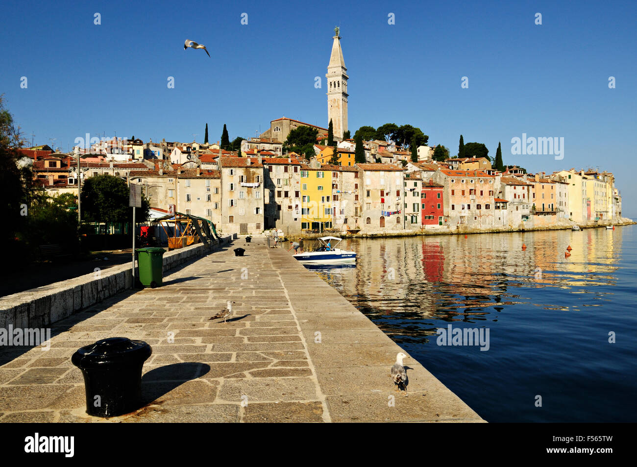 Old Town of Rovinj with bell tower of Saint Euphemia’s basilica, Istria, Croatia Stock Photo