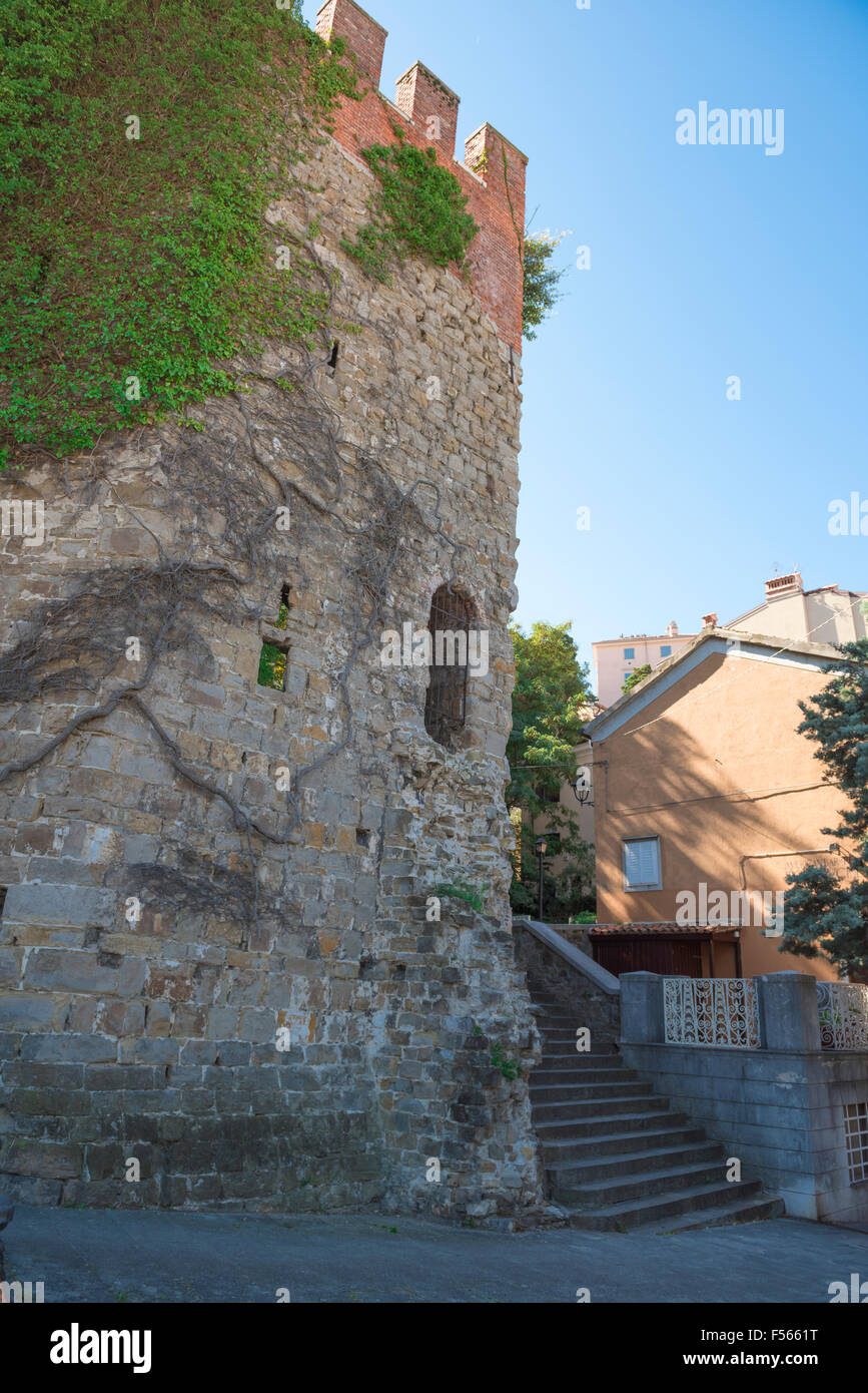 Trieste Roman Trieste roman ruins, detail of ancient Roman fortification in Trieste ...