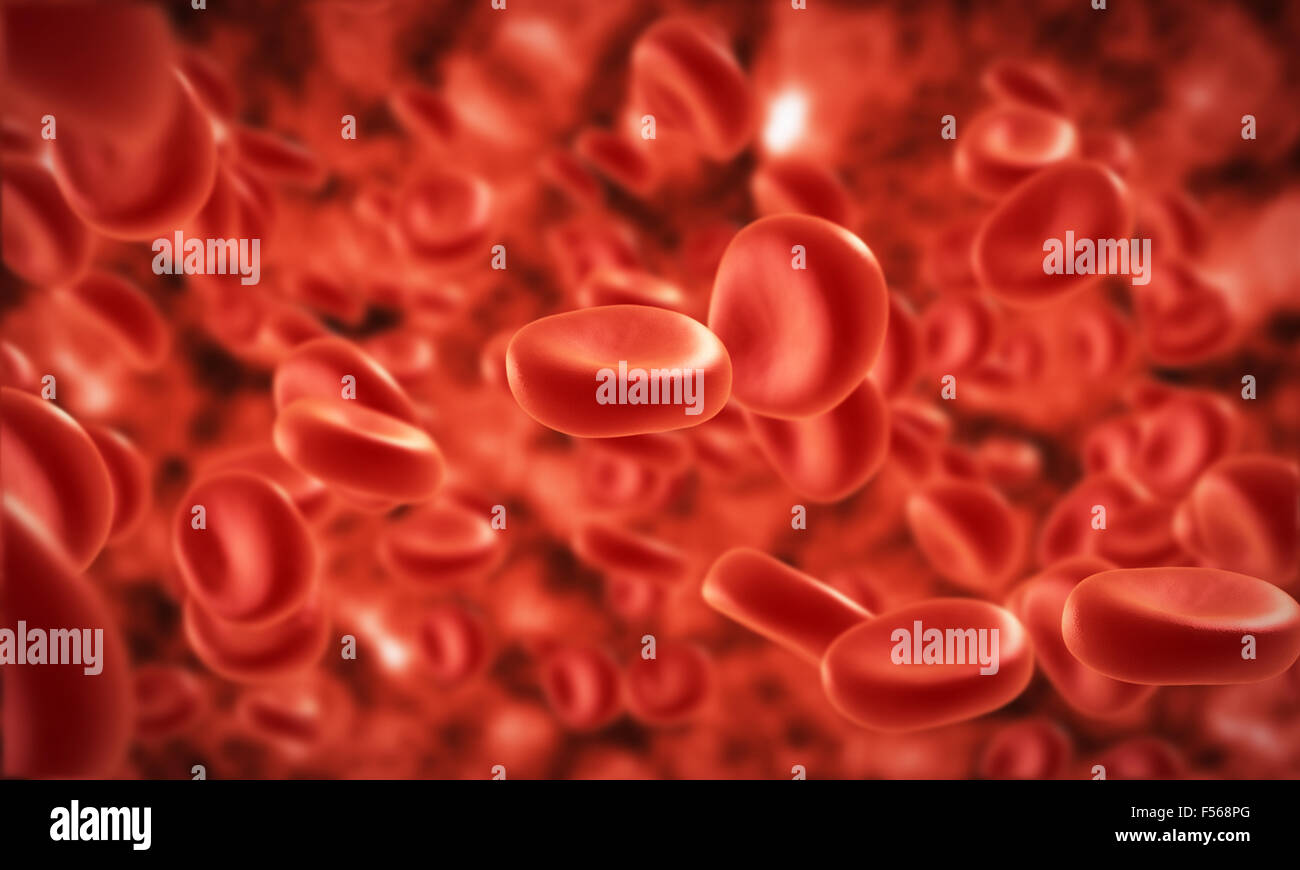 streaming blood cells in vein Stock Photo