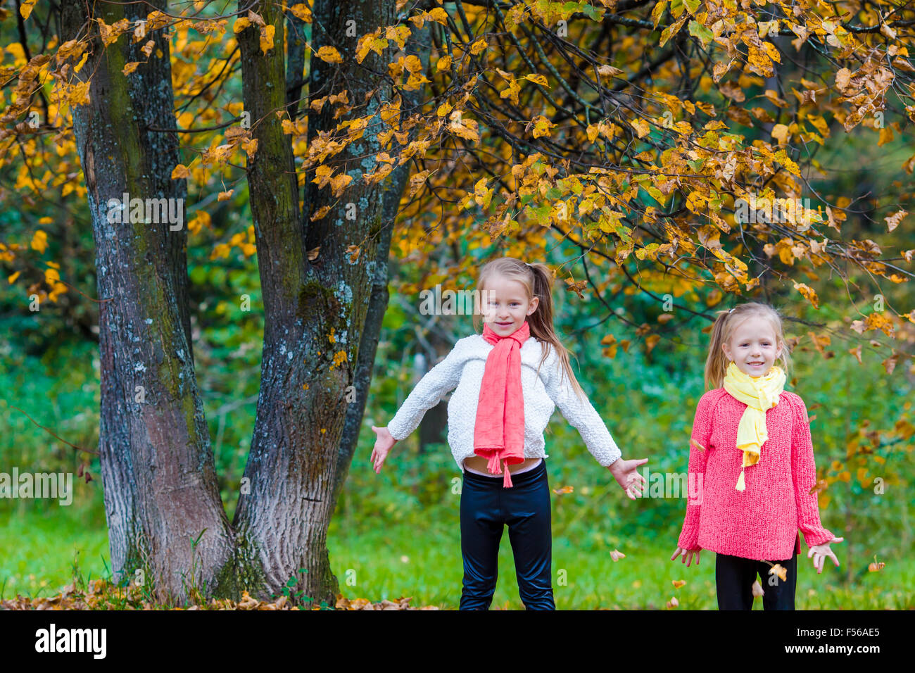 Two adorable girls in park at warm sunny autumn day Stock Photo - Alamy