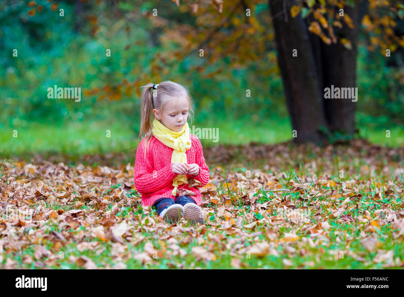 Adorable little girl with autumn leaves in the beautiful park Stock ...