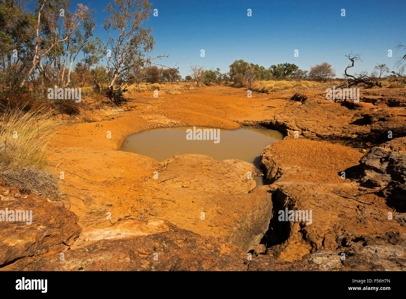 Rocky waterhole with pool of muddy water in red slab of rock in arid Australian outback landscape during drought under blue sky Stock Photo