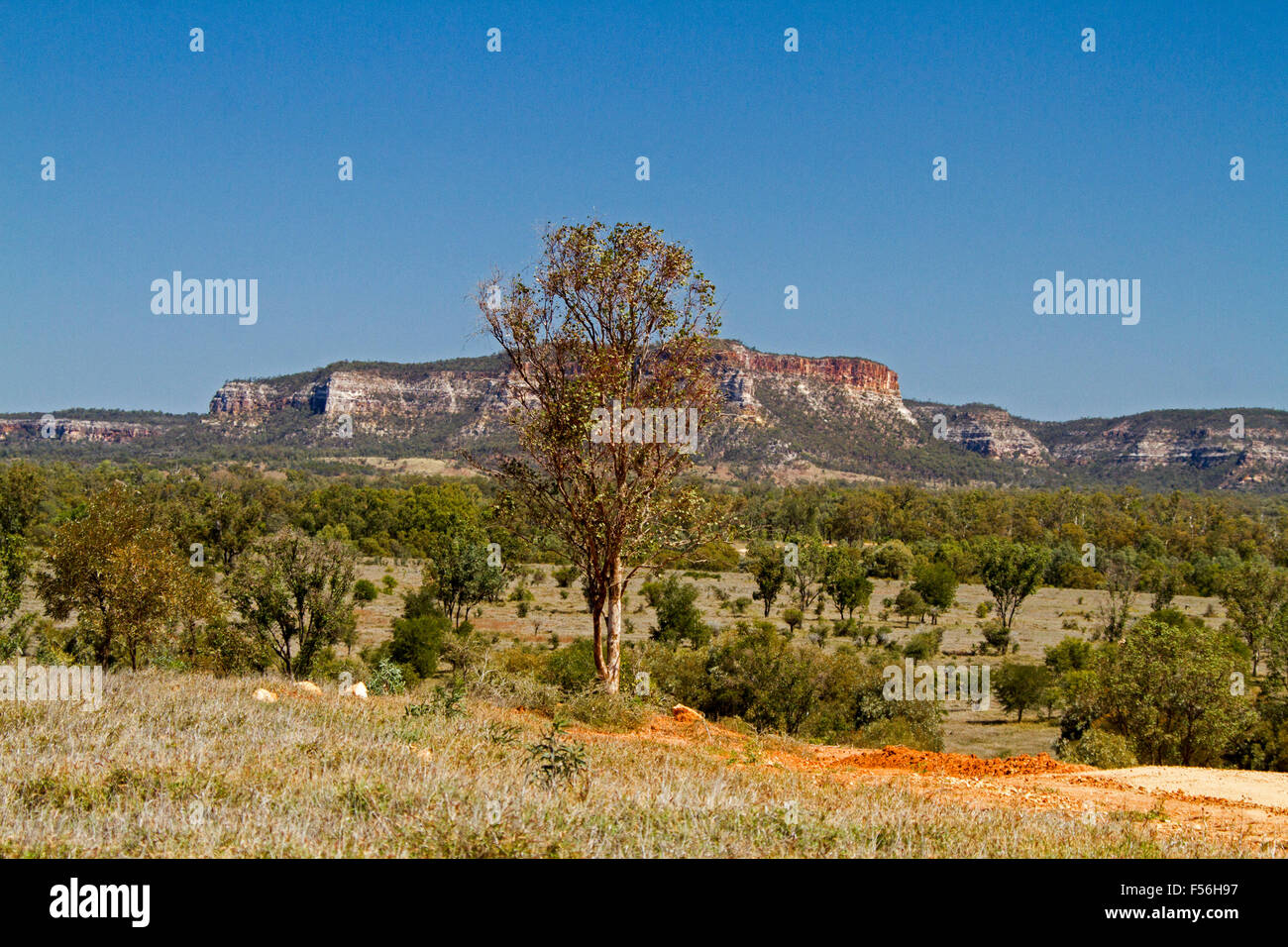 Vast outback landscape with Carnarvon Ranges of Salvator Rosa National Park rising into blue sky beyond tree-cloaked plains, Australia Stock Photo