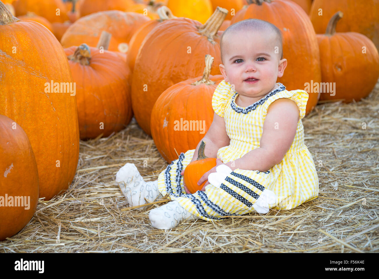 Cute Baby sitting in a Pumpkin Patch Stock Photo