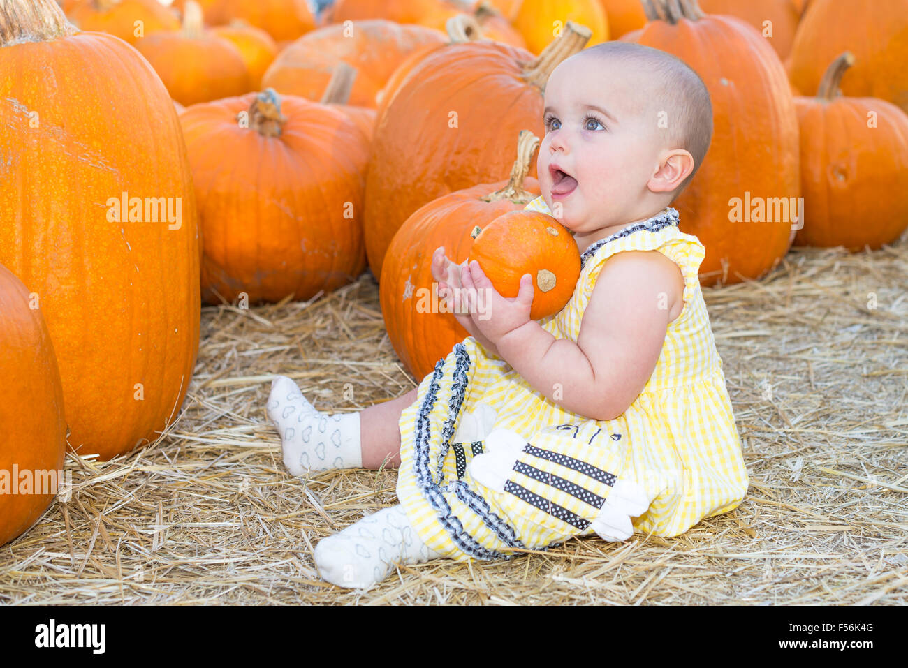 Baby girl holding a pumpkin in a pumpkin patch Stock Photo