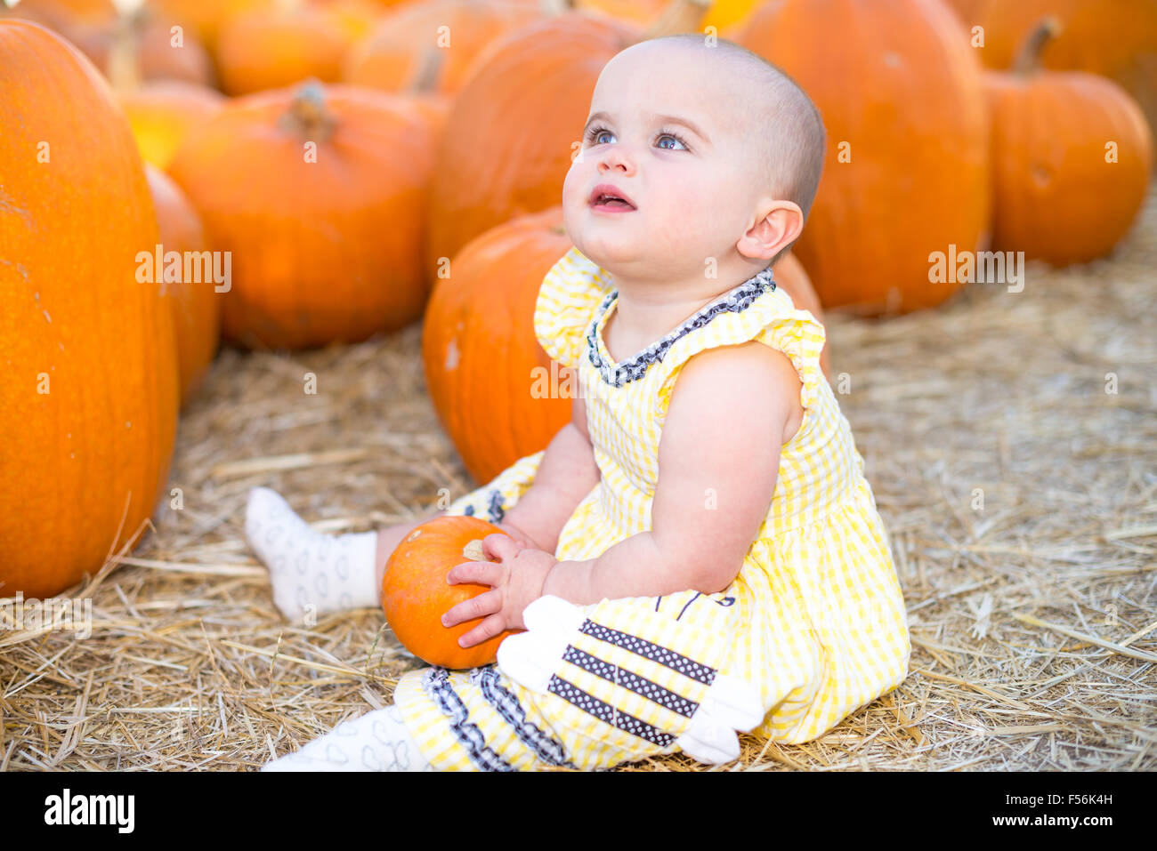 Cute Baby girl sitting on hay in a Pumpkin Patch Stock Photo
