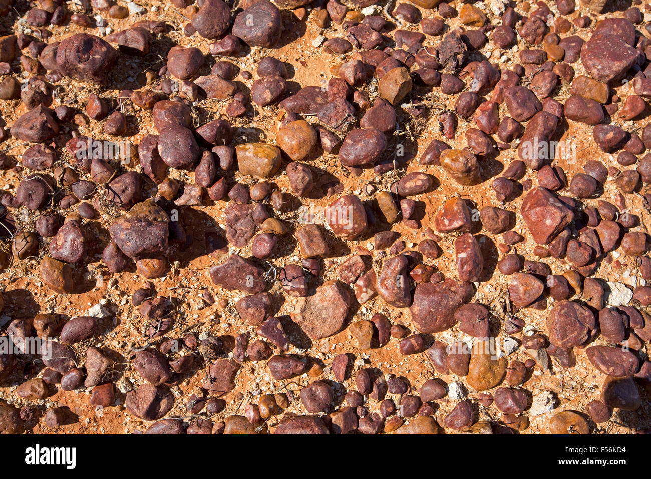Dark red / brown gibber stones of outback plains in Queensland Australia, natural pattern on red soil Stock Photo