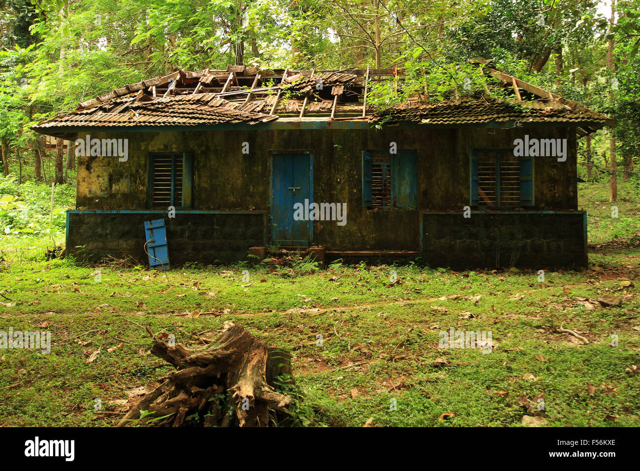 Old abandoned house in green background. Stock Photo