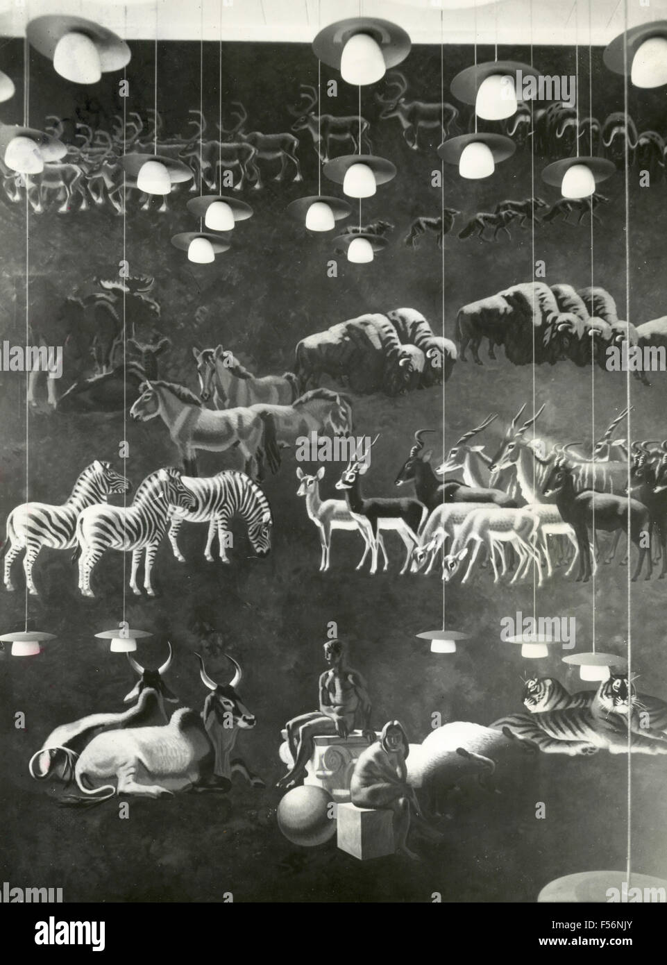 The Animals 1960s High Resolution Stock Photography and Images - Alamy