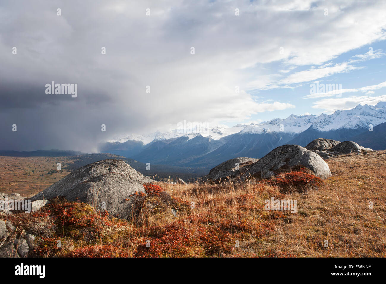 Fall colors in the high mountain tundra of British Columbia with storm clouds Stock Photo Alamy