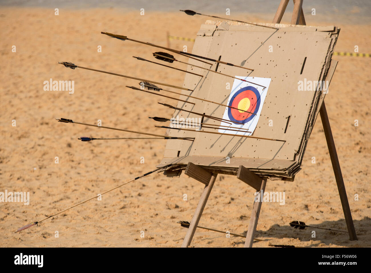 Palmas, Brtazil. 28th Oct, 2015. The archery target of cardboard boxes shows the variety of arrows in use at the International Indigenous Games, in the city of Palmas, Tocantins State, Brazil. Credit:  Sue Cunningham Photographic/Alamy Live News Stock Photo