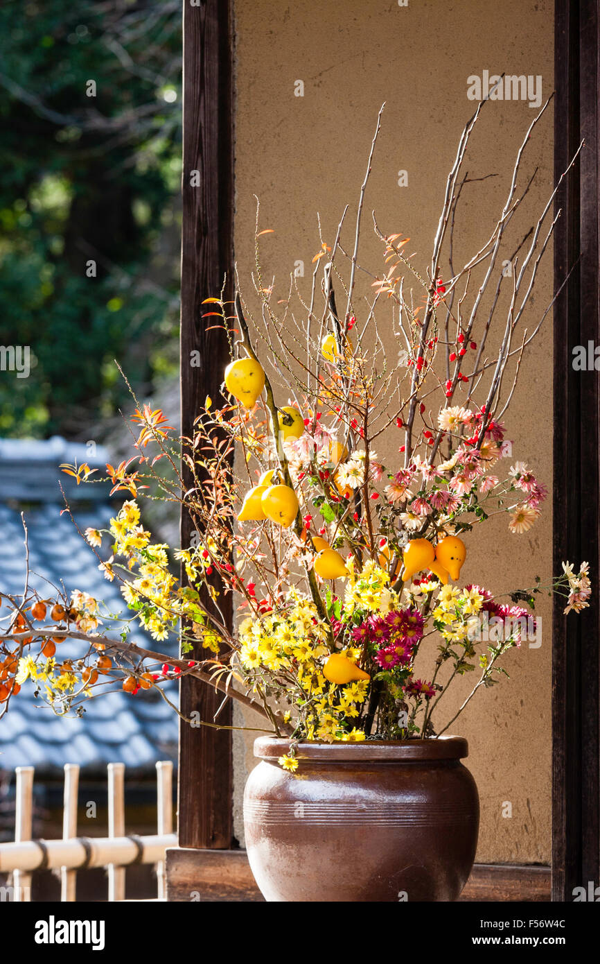 Japan, Hikone castle, Genkyu-en, scenic beauty Japanese garden. Tea house, wityh close up of vase with mini lemon tree on veranda. Stock Photo