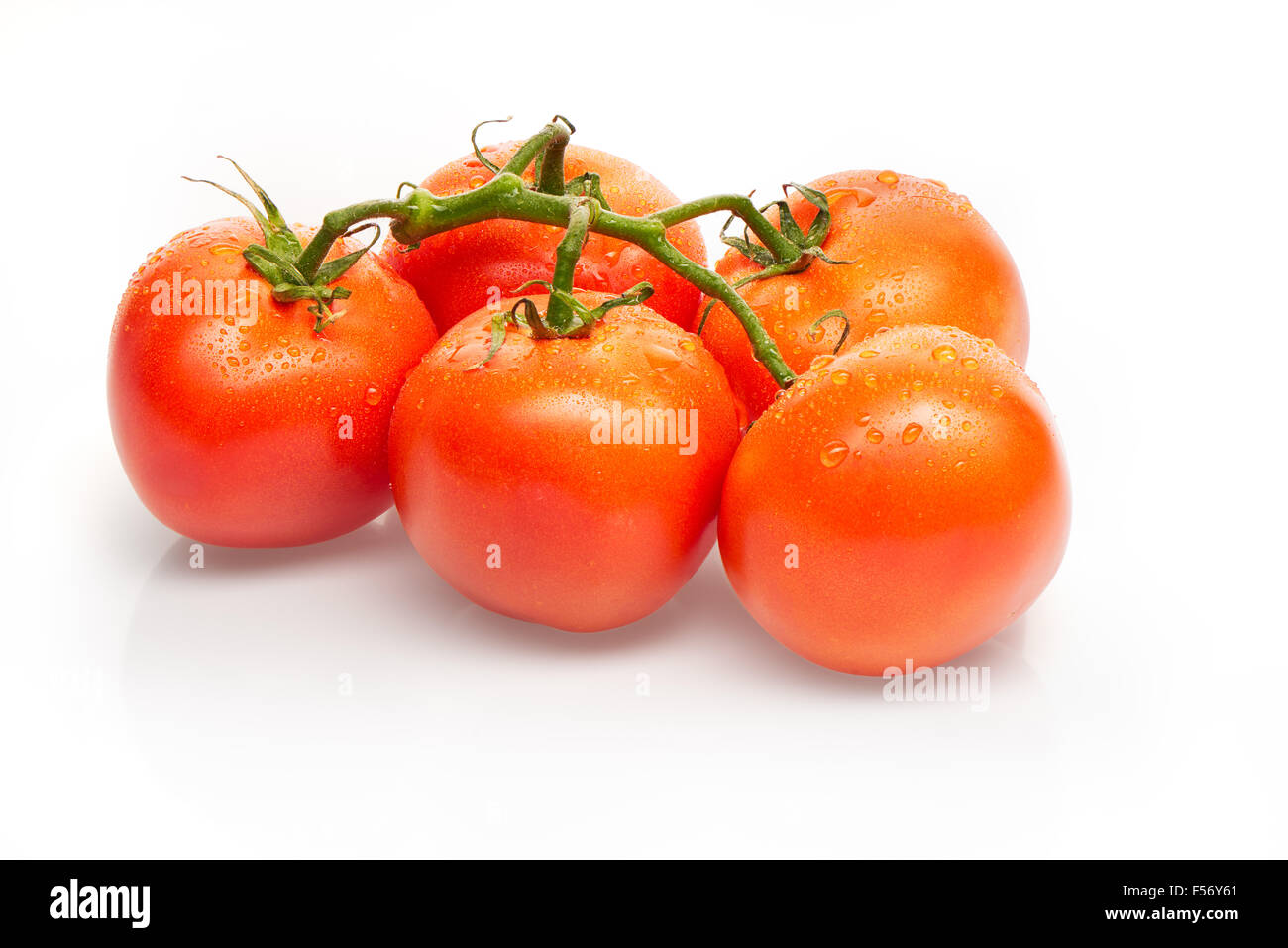 Branch of red tomatoes with drops of water isolated on white background ...