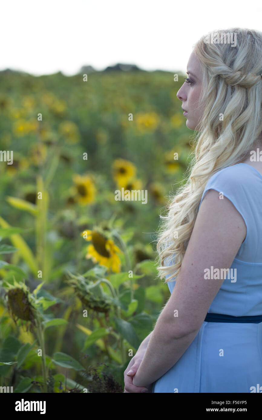 Beautiful young woman in a sunflower field at golden hour Stock Photo ...