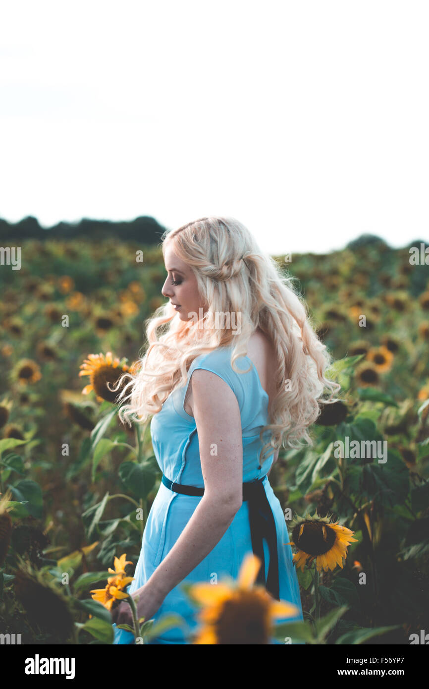 Beautiful young woman in a sunflower field at golden hour Stock Photo ...