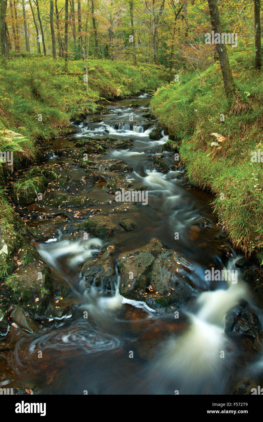 The Allt a' Mhangan, near Aberfoyle, Loch Lomond and the Trossachs National Park, Stirlingshire Stock Photo