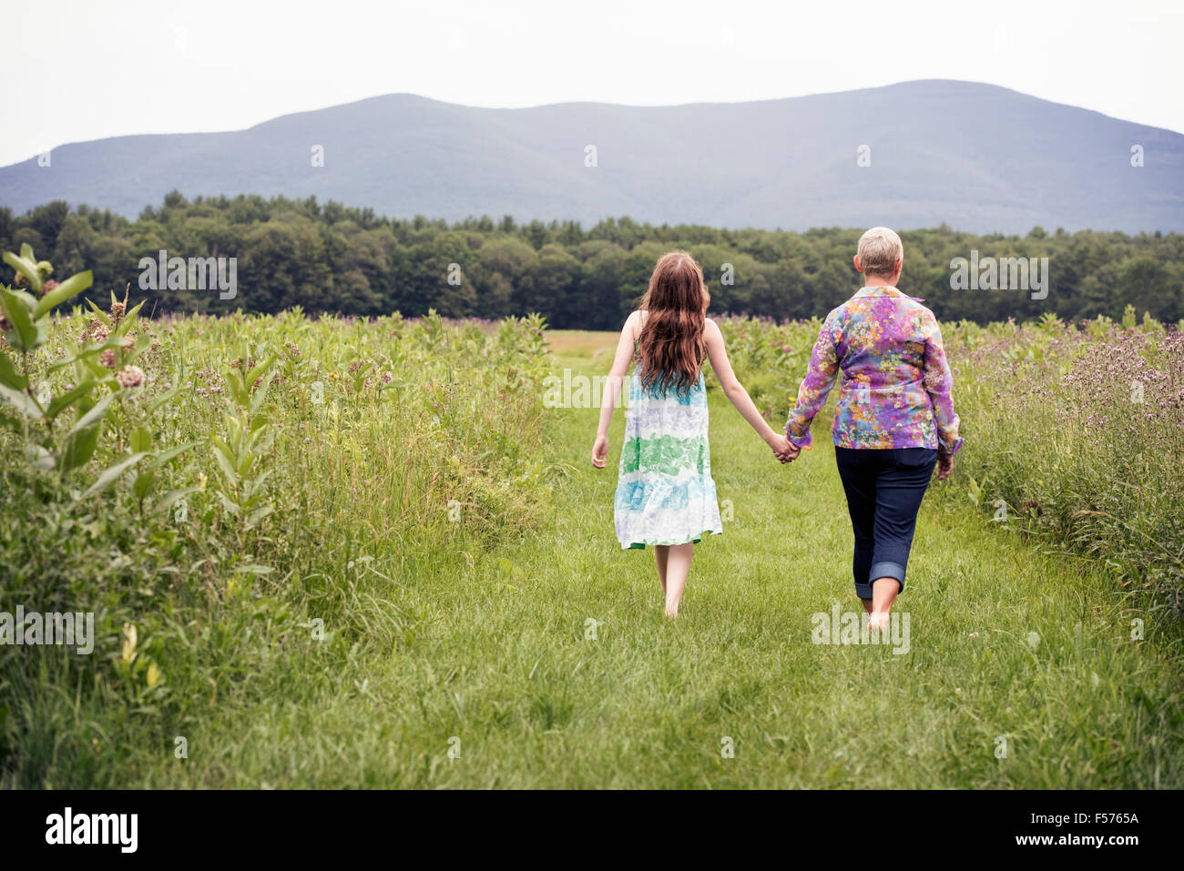A mature woman and a young girl in a wildflower meadow. Stock Photo