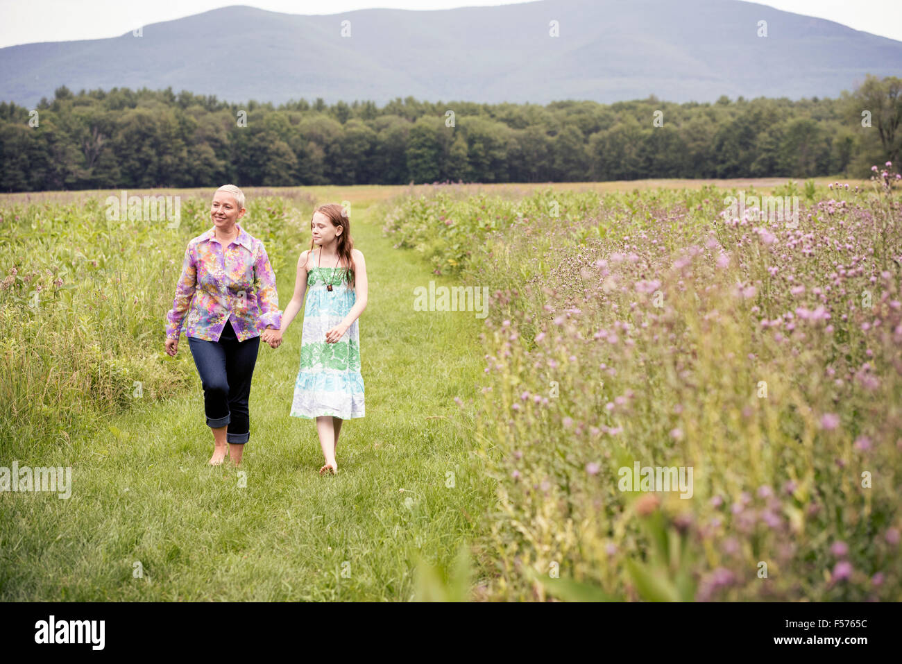 A mature woman and a young girl in a wildflower meadow. Stock Photo