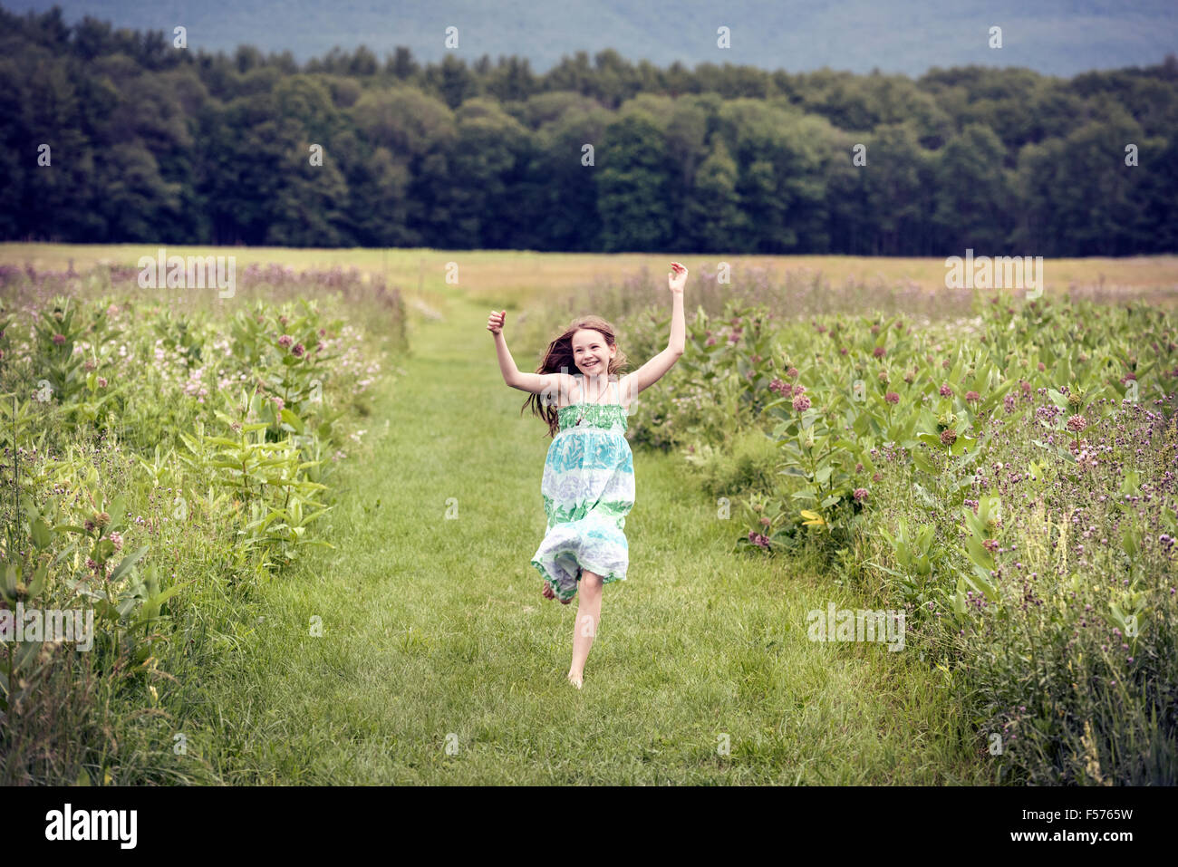 A girl running through a meadowwith her arms above her head. Stock Photo