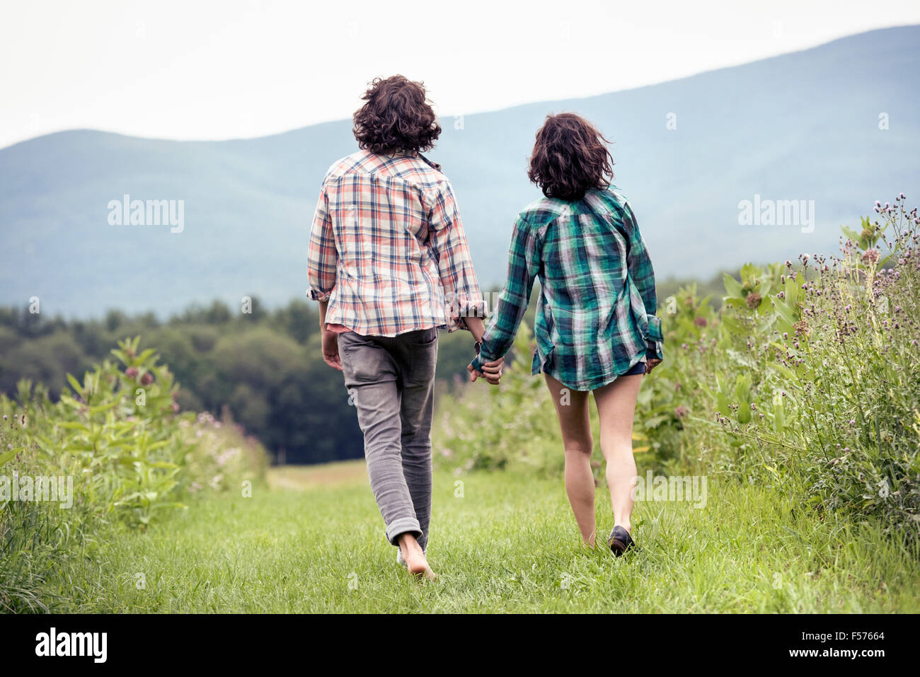 A couple, man and woman walking through a meadow hand in hand, rear view. Stock Photo