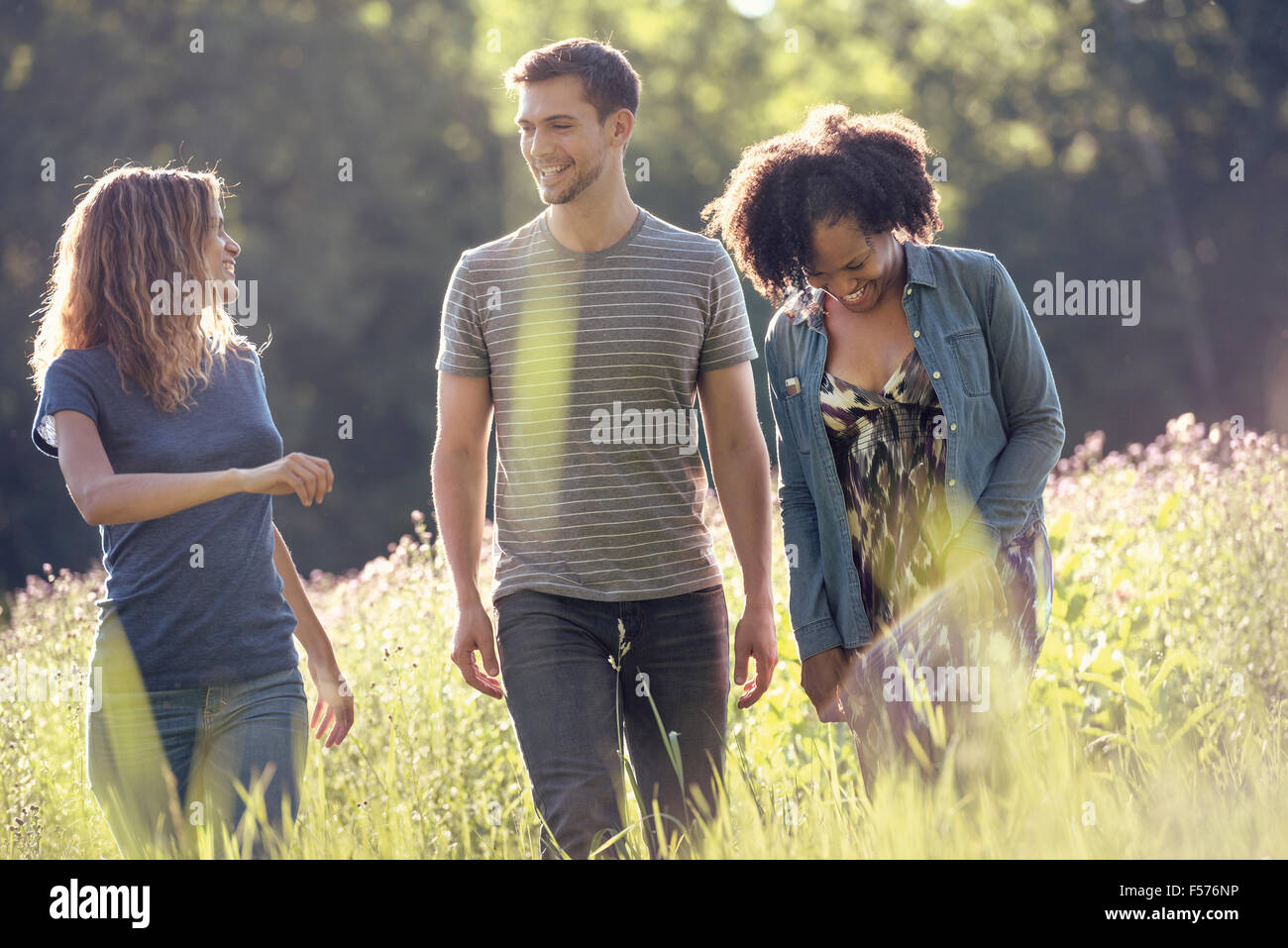 Three people, a man and two women walking through tall grass in a meadow. Stock Photo