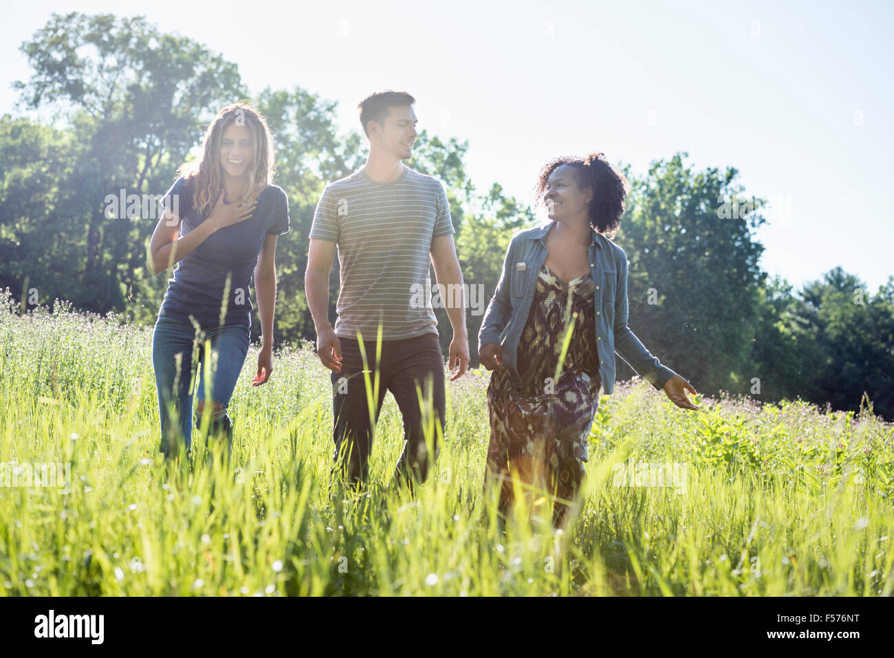 Three people, a man and two women walking through tall grass in a meadow. Stock Photo
