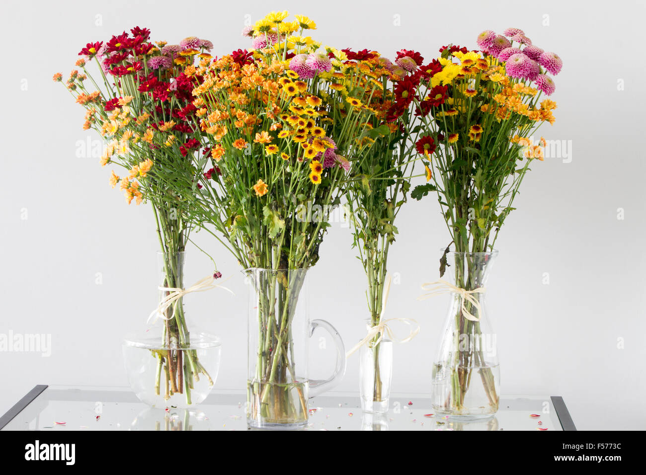 Bunch Of Colorful Chrysanthemum And Daisy Flowers In Different