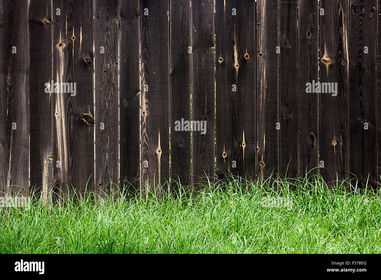 Vintage background texture. Classic old wooden fence and green grass at ...