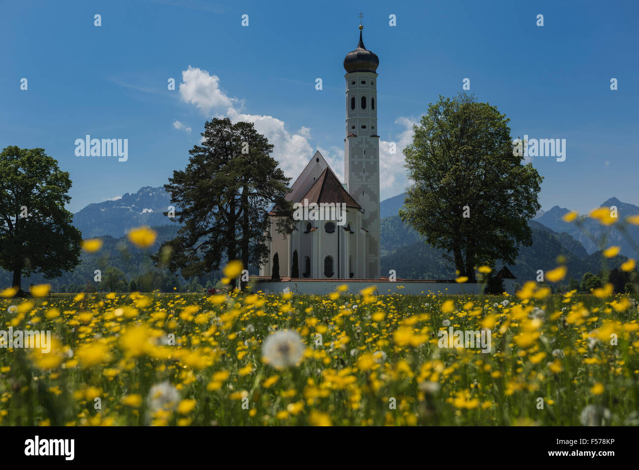 Church of St. Coloman in Field of spring flowers, Schwangau, Bavaria, Germany Stock Photo