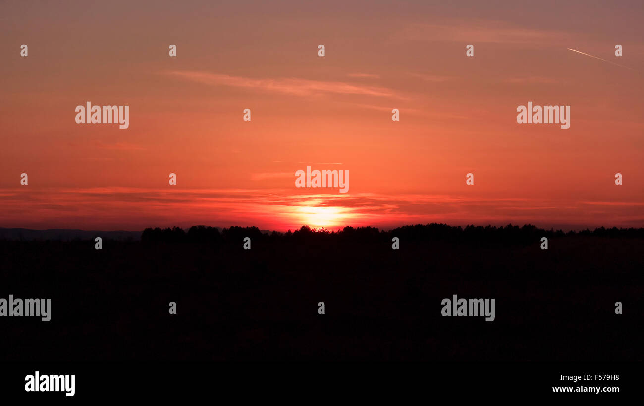 Sunset over the forest Stock Photo - Alamy