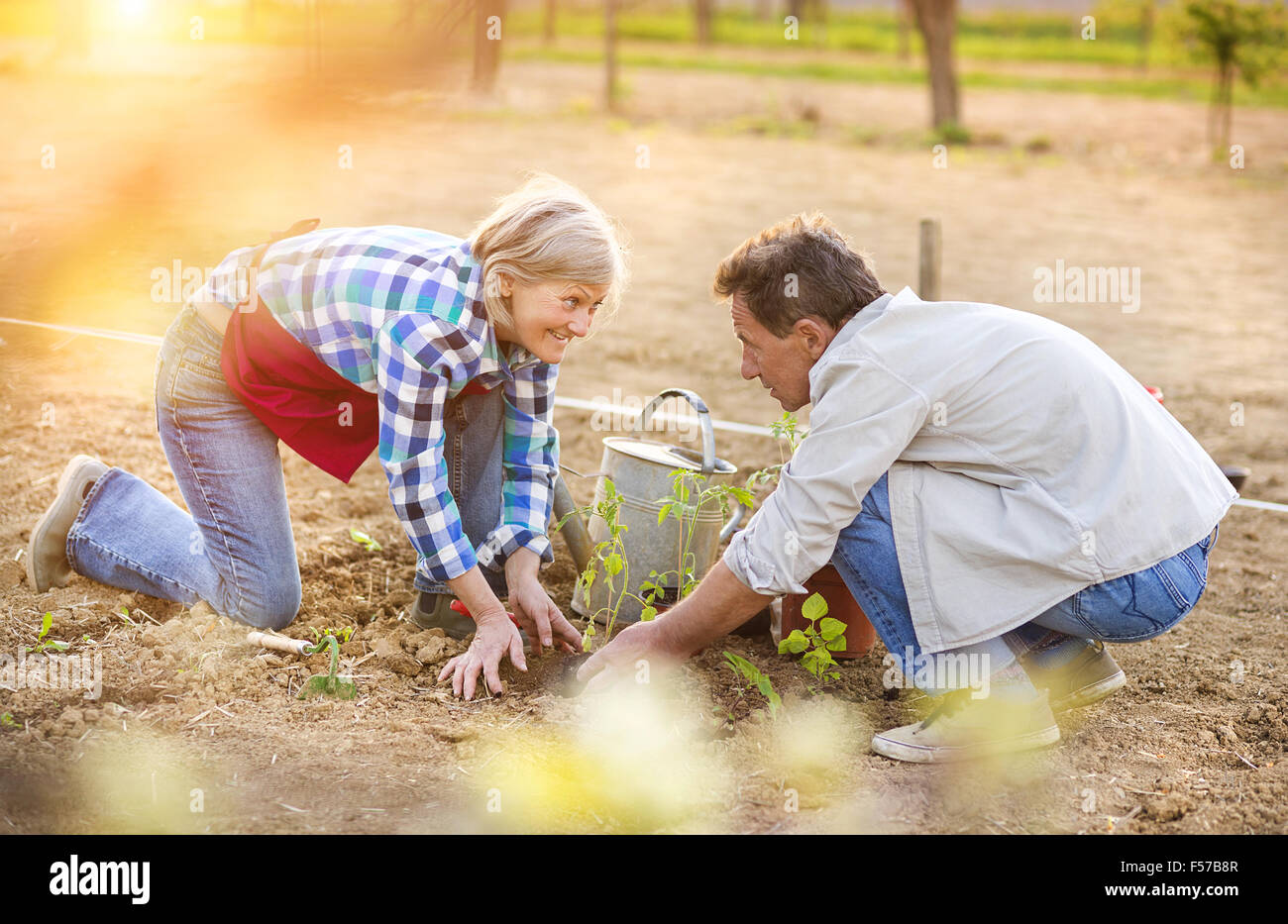 Senior in their garden Stock Photo - Alamy