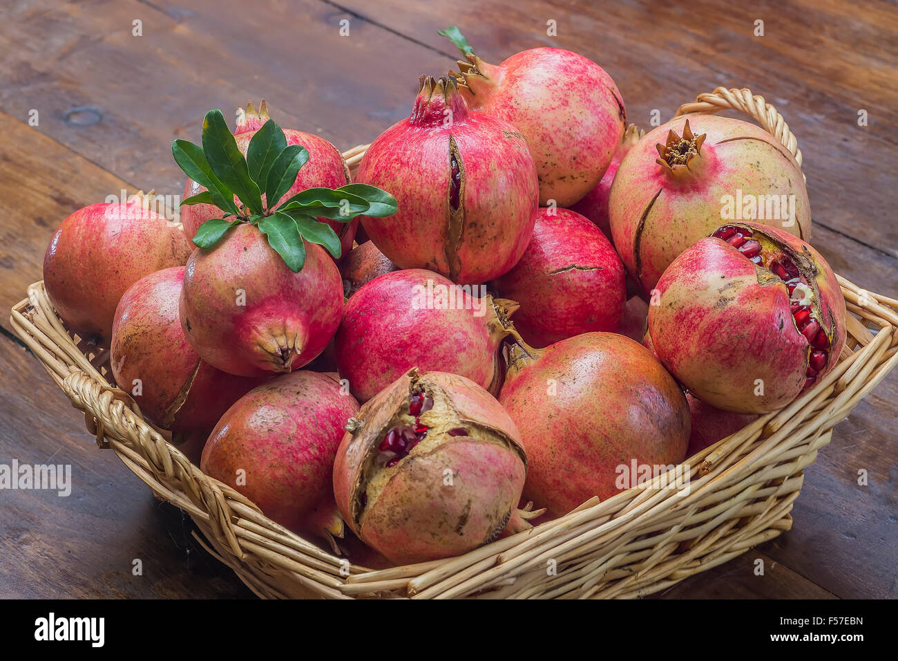 Pomegranate Stock Photo