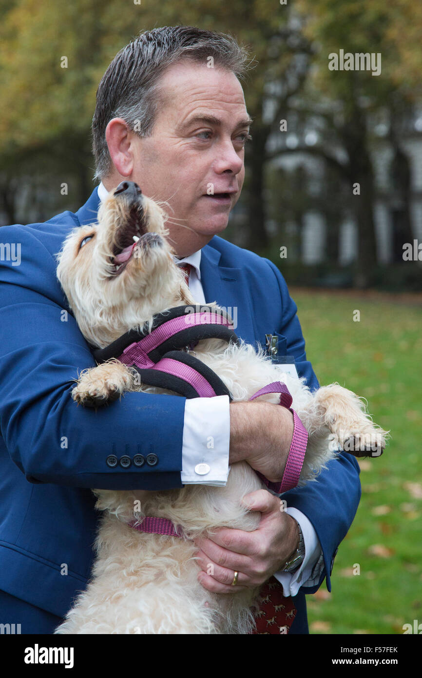 Victoria adams dogs hires stock photography and images Alamy