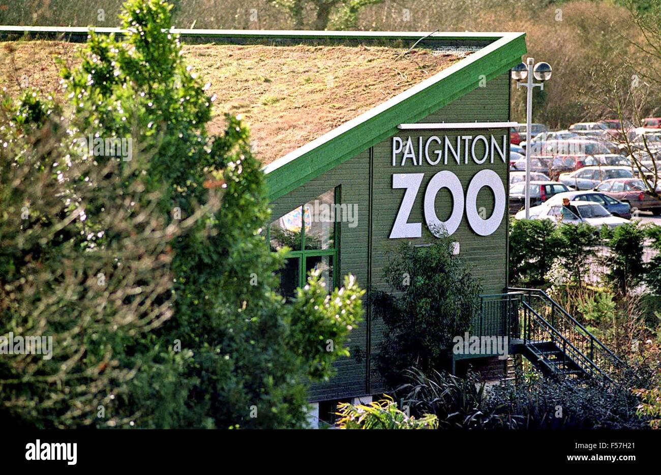 Paignton Zoo, Devon, UK. 29th October, 2015.  A great ape was left far from bewitched by a giant Halloween pumpkin gift at a British zoo. N’Dowe, a Western lowland gorilla at Paignton Zoo, Devon, seemed to be under the vegetable’s spell for a while until eventually tossing it away. Two of the mega-vegetables, each weighing roughly 70 kilos, were grown by local company Riverford Organic Farms. Phil Knowling, from Paignton Zoo, said: “Huge pumpkins like these make great environmental enrichment for animals – it’s like giving your pet a toy, just with a bit more science. Credit:  Apex/Alamy Live  Stock Photo