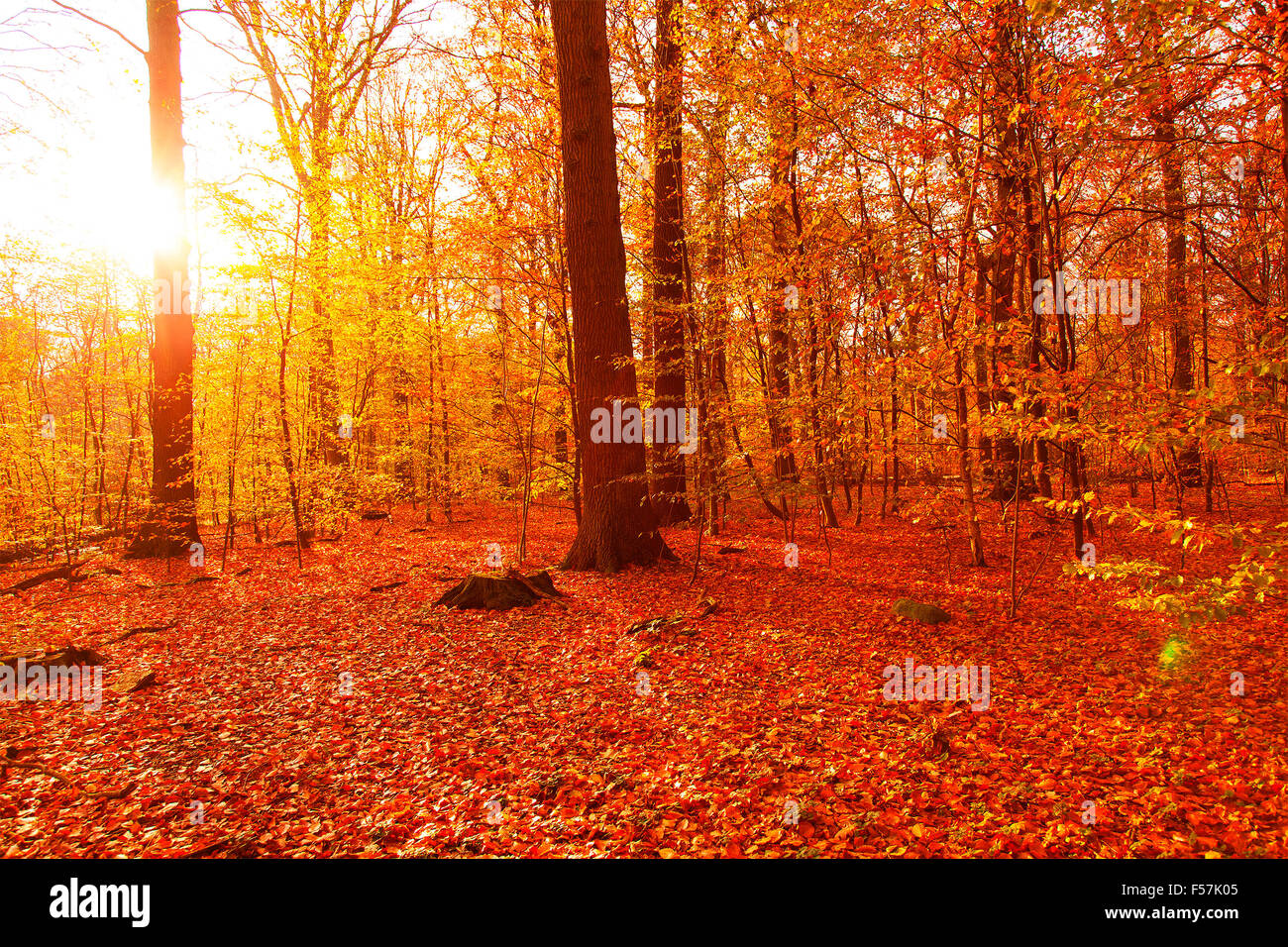 Fall color landscape hi-res stock photography and images - Alamy